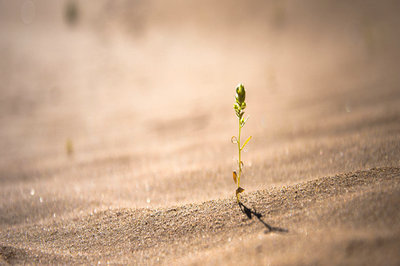 甘肅農(nóng)業(yè)大學在職研究生專業(yè)有哪些？